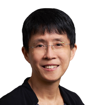 Prof Lee Soo Chin