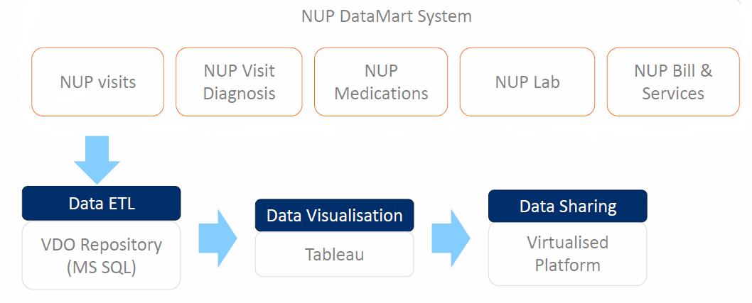 NUP datamart system