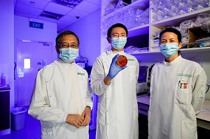 Singapore scientists