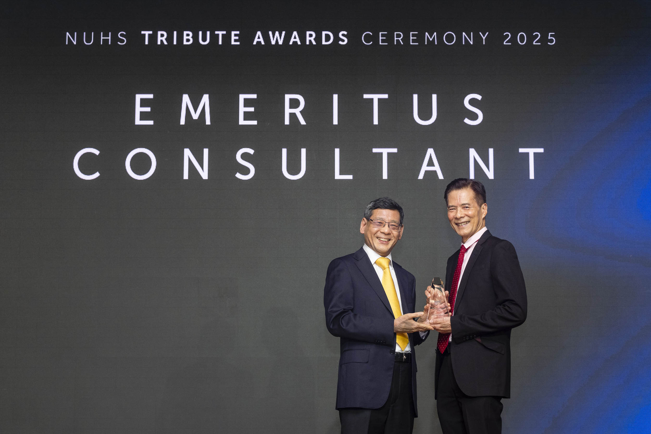 Emeritus Consultant 2024 - Prof Lim Seng Gee