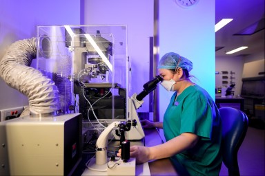 Inside the IVF Lab